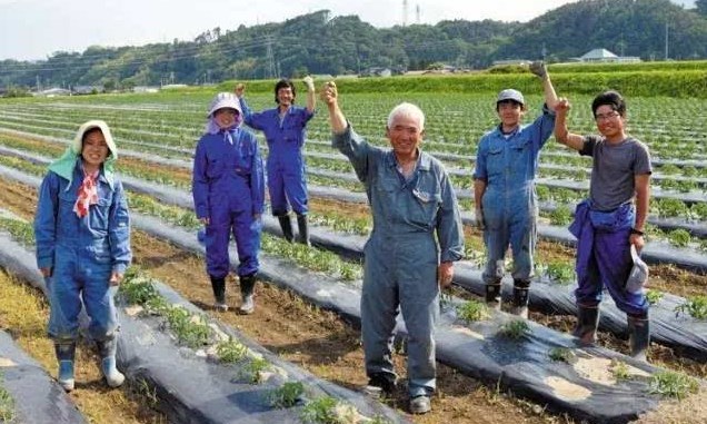 日本勞務(wù)派遣農(nóng)業(yè)類、食品加工、建筑業(yè)、電子業(yè)招聘